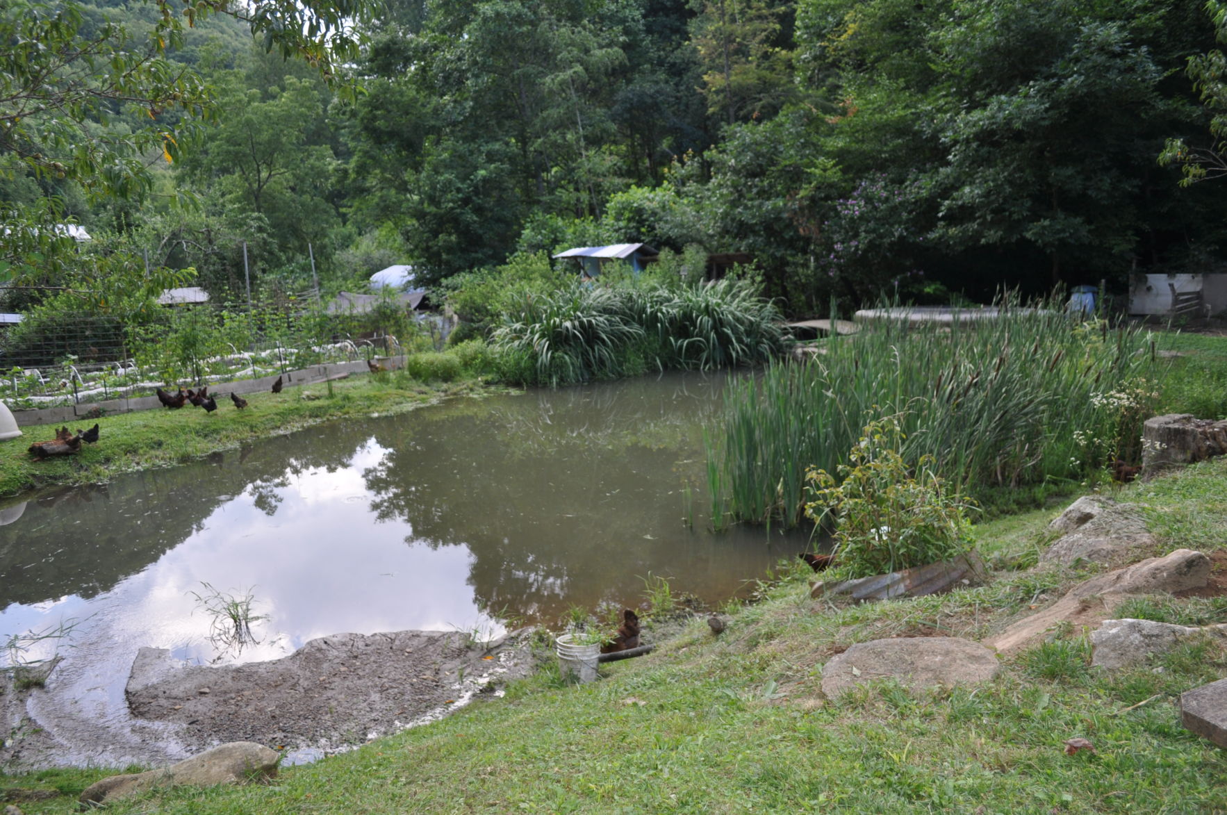 farm view.JPG